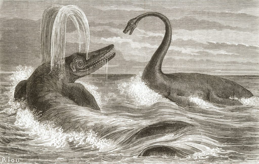 Ichthyosaur_and_Plesiosaur_1863