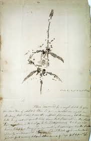 drawing and notes of plesiosaur by Mary Anning