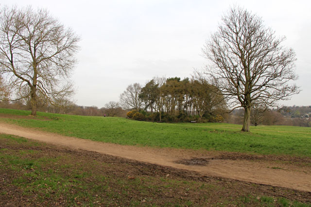 Boudica's burial mound - Hampstead Heath