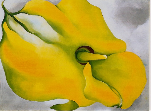 Yellow Calla by Georgia O'Keeffe